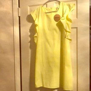 NWT Light yellow ruffle sleeve dress